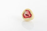 Single Dark Freeze Dried Strawberry cut in half 